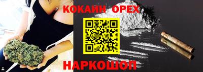 шишки Сланцы