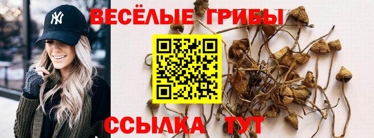 Псилоцибиновые грибы Psilocybe  Вход с VPN  Орёл 
